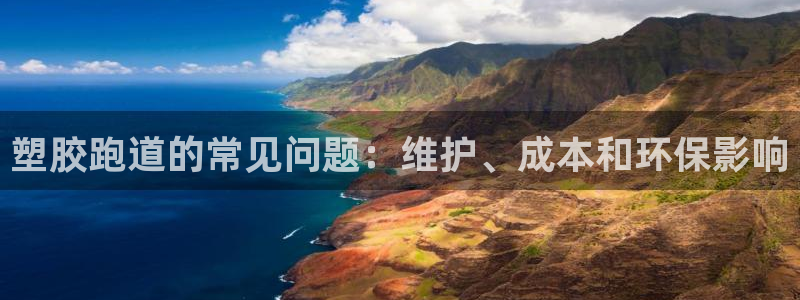 红足1世手足球比分：塑胶跑道的常见问题：维护、成本和环保影响
