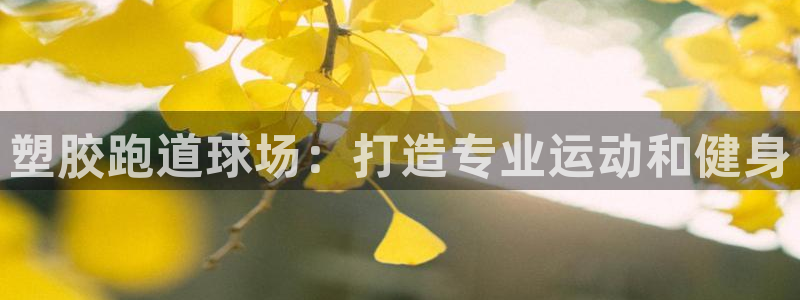 新2足球平台出租网站：塑胶跑道球场：打造专业运动和健身