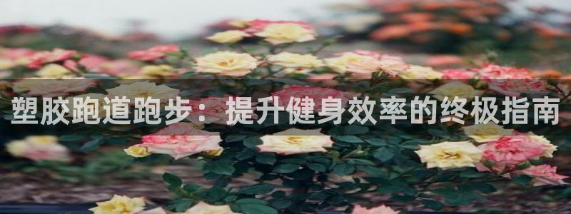 红足一1世666814足球