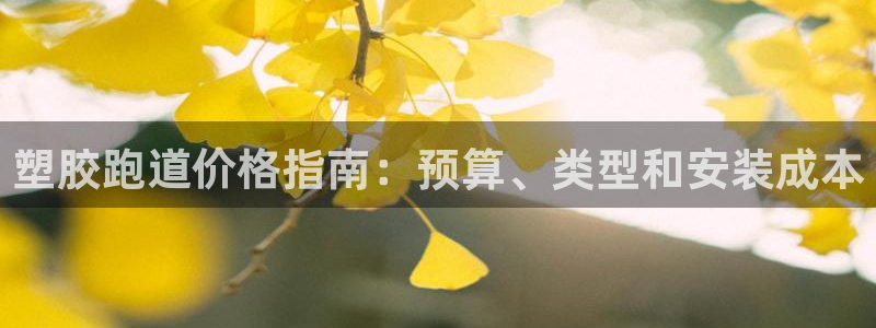 百度红足一1是什么样子的：塑胶跑道价格指南：预算、类型和安装成本