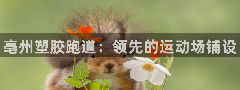 百度红足一1视频在线观看：亳州塑胶跑道：领先的运动场铺设