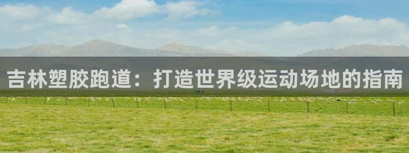 红足一1世：吉林塑胶跑道：打造世界级运动场地的指南