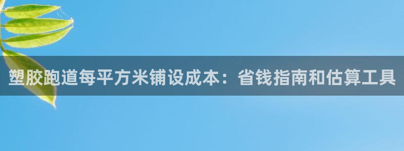 777814红·足一世比分：塑胶跑道每平方米铺设成本：省钱指南和估算工具