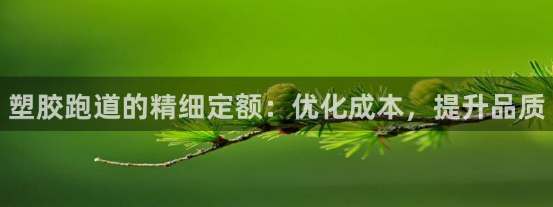 红足1世官网：塑胶跑道的精细定额：优化成本，提升品质