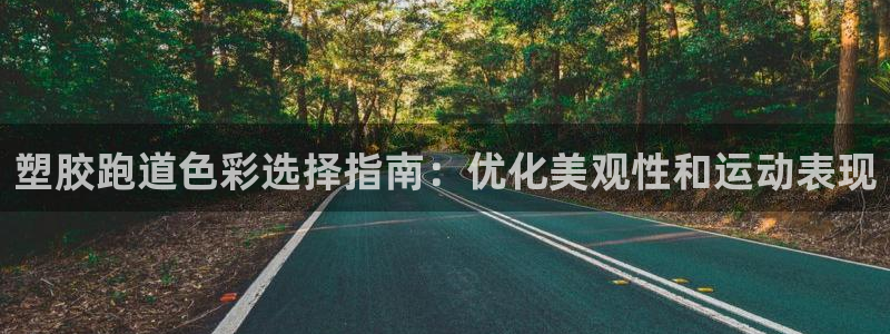红足1世手机版下载：塑胶跑道色彩选择指南：优化美观性和运动表现