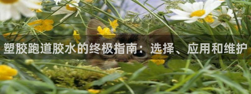 55814红足1世：塑胶跑道胶水的终极指南：选择、应用和维护