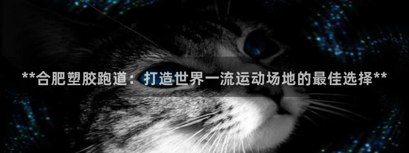 红足1一世 2站：**合肥塑胶跑道：打造世界一流运动场地的最佳选择**