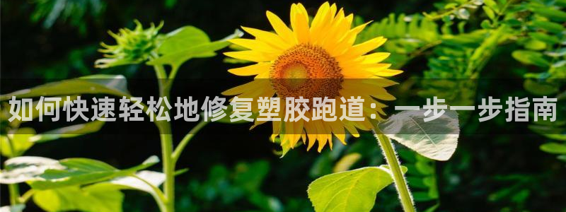 红足1世足球