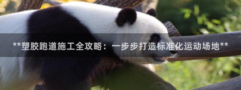 红足体育网