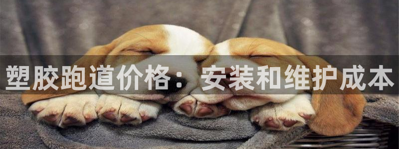 红足一1世皇冠登录