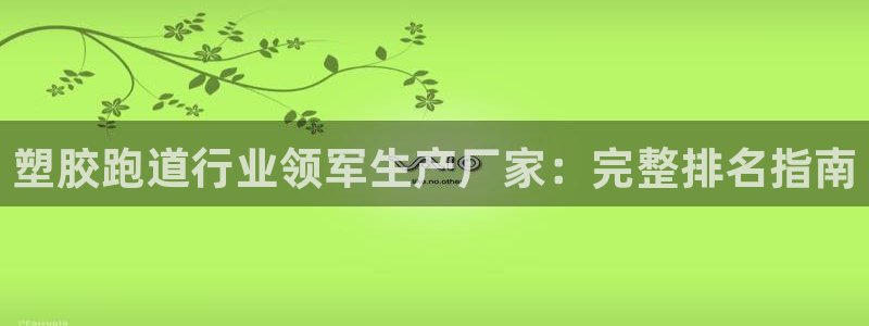 百度红足一1是干什么的：塑胶跑道行业领军生产厂家：完整排名指南