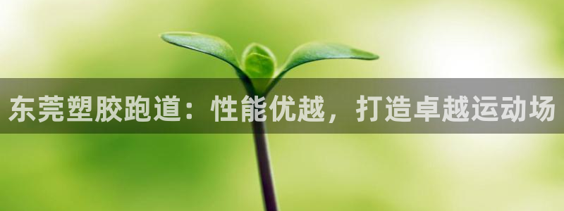 66814红足一66814世