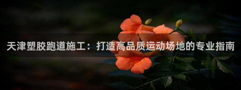 红足一1世手机开奖