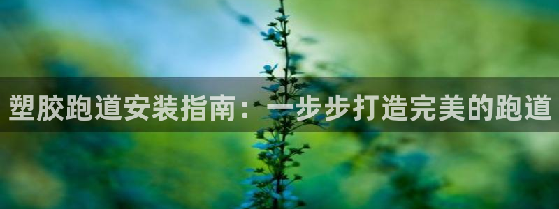 红足一一世