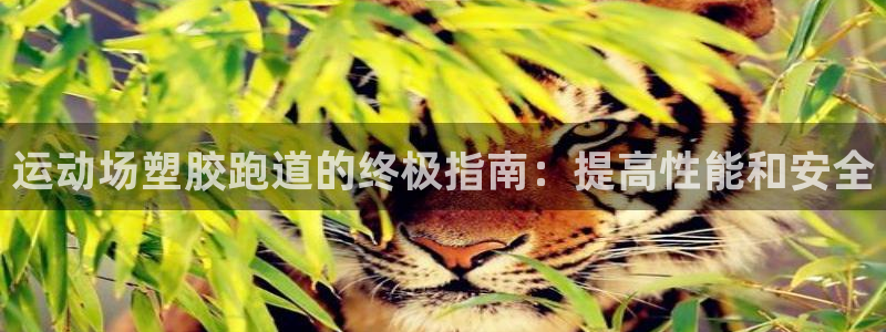红足一1世官网