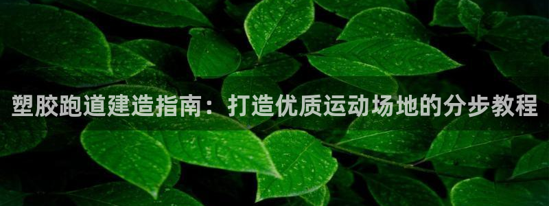 红足1世足球网址：塑胶跑道建造指南：打造优质运动场地的分步教程