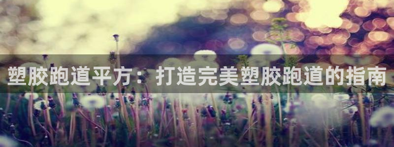 红足1世开奖预测：塑胶跑道平方：打造完美塑胶跑道的指南
