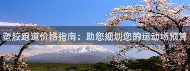红足一1世皇冠登录：塑胶跑道价格指南：助您规划您的运动场预算