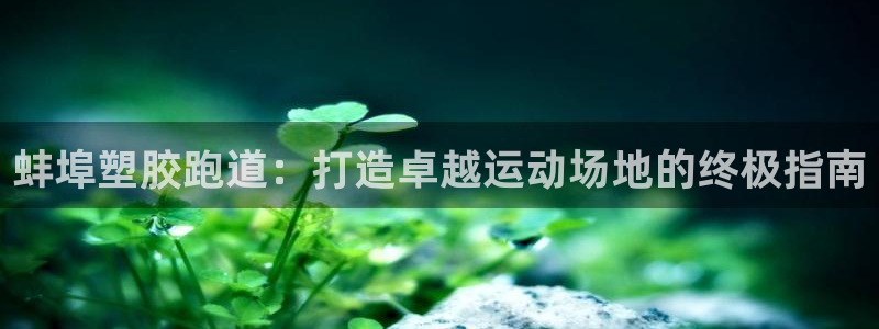 红足1世1站：蚌埠塑胶跑道：打造卓越运动场地的终极指南