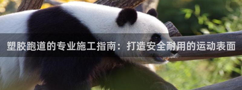 77814红足1世：塑胶跑道的专业施工指南：打造安全耐用的运动表面