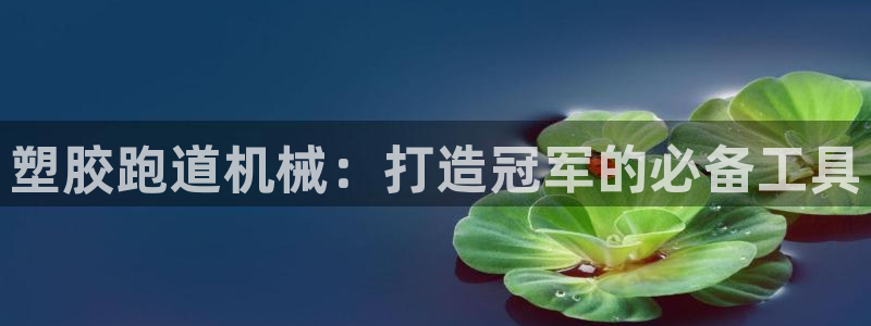 红足一1世66814新宝：塑胶跑道机械：打造冠军的必备工具