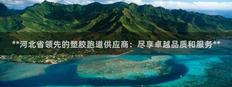 红足一球：**河北省领先的塑胶跑道供应商：尽享卓越品质和服务**