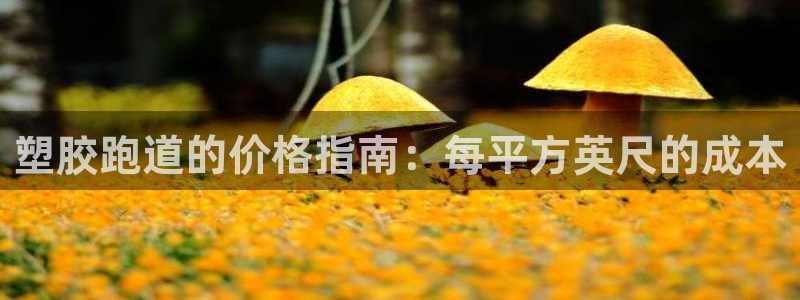 红世一足球比分：塑胶跑道的价格指南：每平方英尺的成本