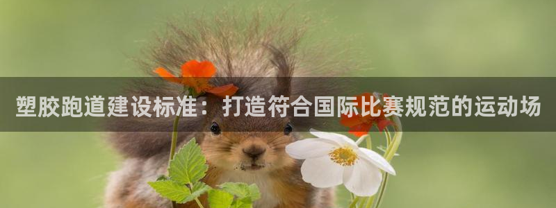 红足一1世皇冠地址：塑胶跑道建设标准：打造符合国际比赛规范的运动场
