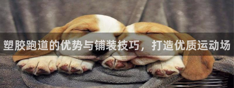红足网足球直播：塑胶跑道的优势与铺装技巧，打造优质运动场