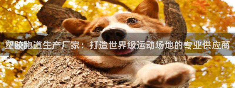 红足1世足球：塑胶跑道生产厂家：打造世界级运动场地的专业供应商