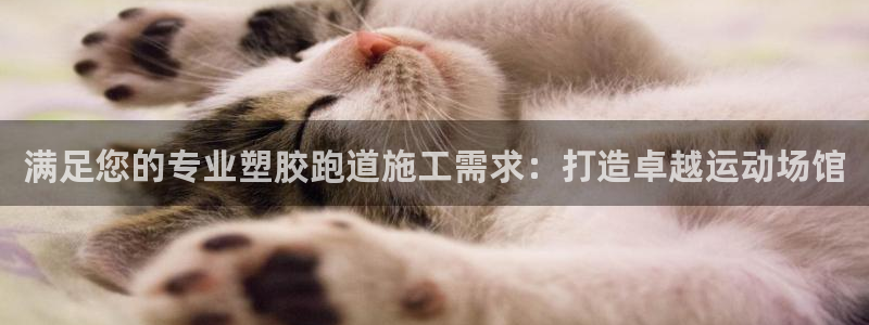 红足一1世比分网：满足您的专业塑胶跑道施工需求：打造卓越运动场馆