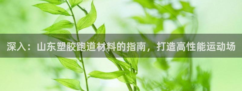 红足1一世红：深入：山东塑胶跑道材料的指南，打造高性能运动场