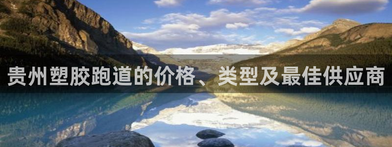 66814红足：贵州塑胶跑道的价格、类型及最佳供应商
