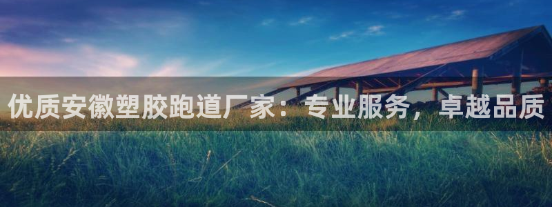 百度红足一1是干什么的：优质安徽塑胶跑道厂家：专业服务，卓越品质
