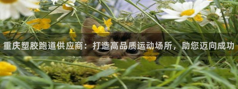 333814红足1世：重庆塑胶跑道供应商：打造高品质运动场所，助您迈向成功