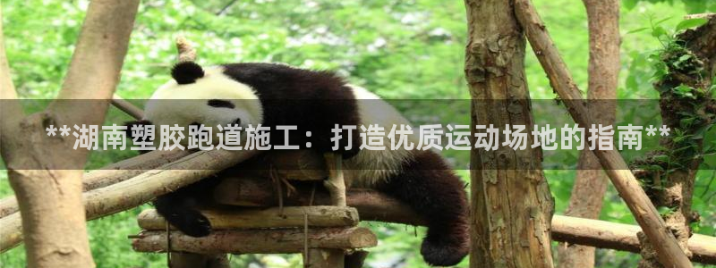 红足一生世：**湖南塑胶跑道施工：打造优质运动场地的指南**