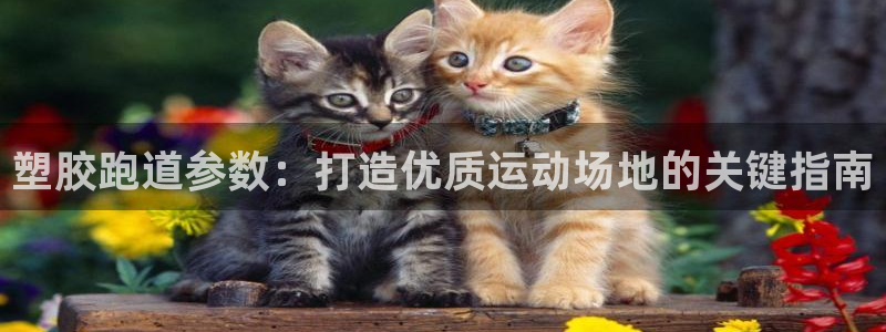 红足一1世比分球探：塑胶跑道参数：打造优质运动场地的关键指南