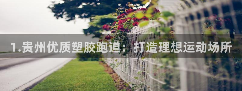 百度红足一1是为什么