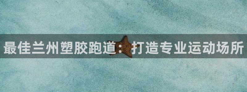 百度红足一1是干什么的：最佳兰州塑胶跑道：打造专业运动场所