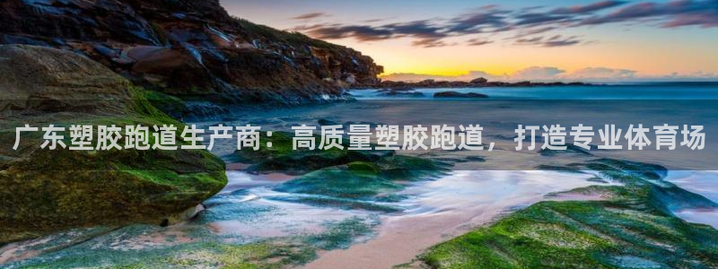 红足1世手机板：广东塑胶跑道生产商：高质量塑胶跑道，打造专业体育场