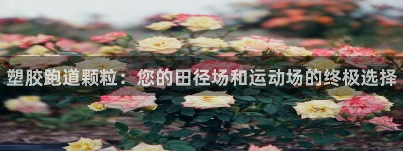 55814红足1世：塑胶跑道颗粒：您的田径场和运动场的终极选择