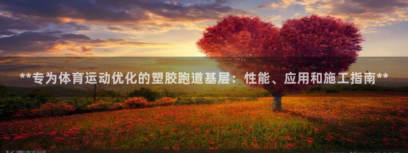 百度红足一1使用说明：**专为体育运动优化的塑胶跑道基层：性能、应用和施工指南**