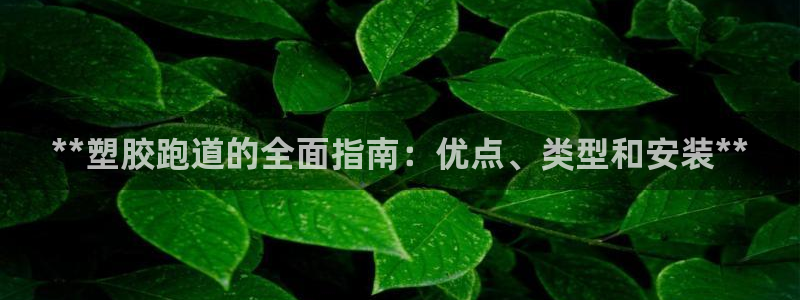 红足一1世66814：**塑胶跑道的全面指南：优点、类型和安装**