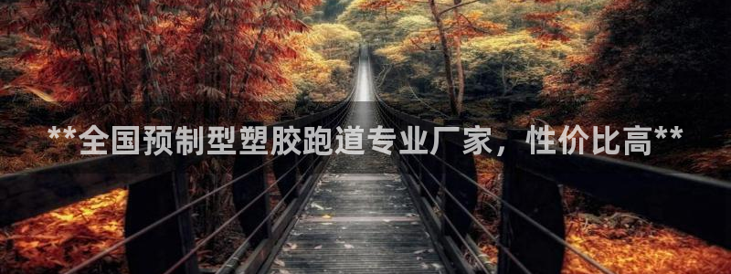 333814红足1世：**全国预制型塑胶跑道专业厂家，性价比高**