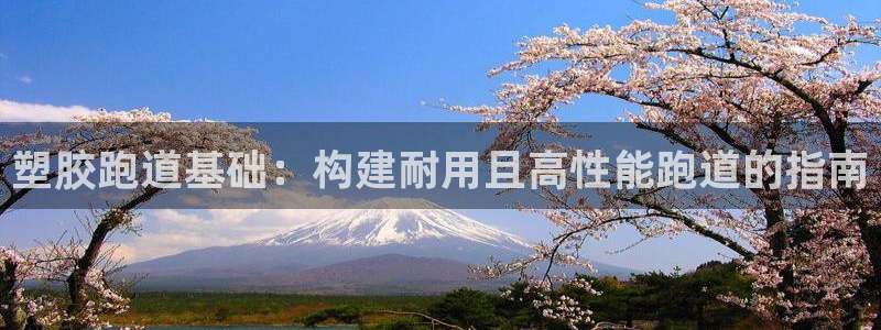 红足一1世皇冠：塑胶跑道基础：构建耐用且高性能跑道的指南