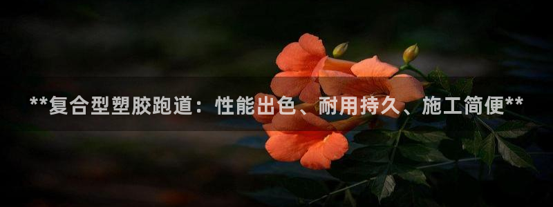 红足一比分网