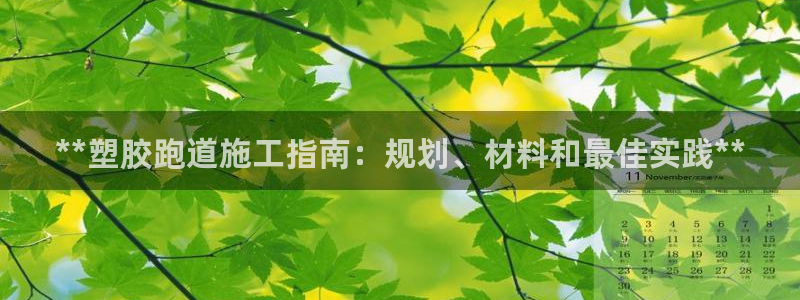 红足一1世手机皇冠：**塑胶跑道施工指南：规划、材料和最佳实践**