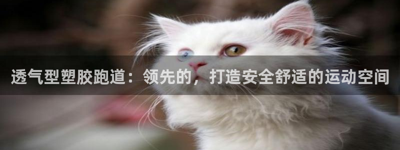 红足一1世666814足球：透气型塑胶跑道：领先的，打造安全舒适的运动空间