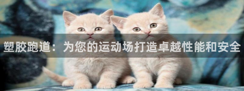 红足一1世66814