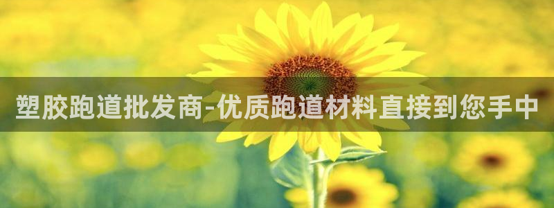 红足1世1站2站管理网：塑胶跑道批发商-优质跑道材料直接到您手中